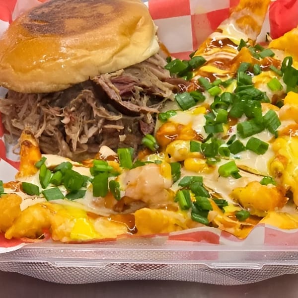 Pulled pork sandwich and loaded fries with cheese, sauce, and green onions in a takeout container.