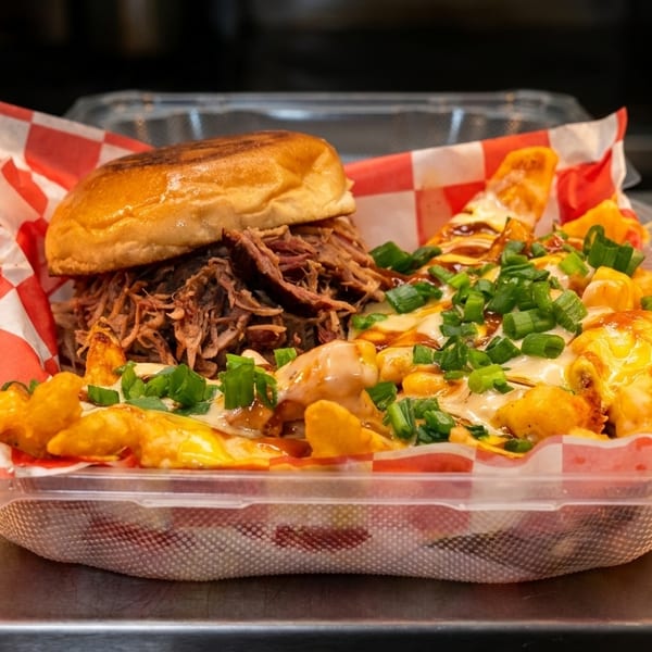 Pulled pork sandwich and loaded fries with cheese, sauce, and green onions in a plastic container.