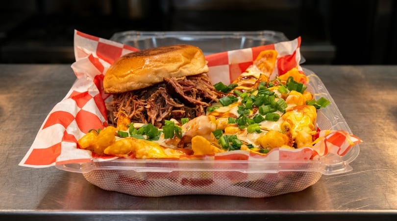 Pulled pork sandwich and loaded fries with cheese, sauce, and green onions in a plastic container.